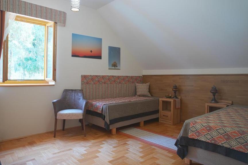 Alirét Vadászház Ságvár Esterno foto
