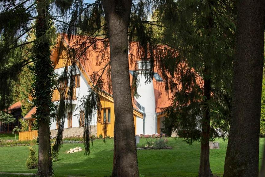 Alirét Vadászház Ságvár Esterno foto