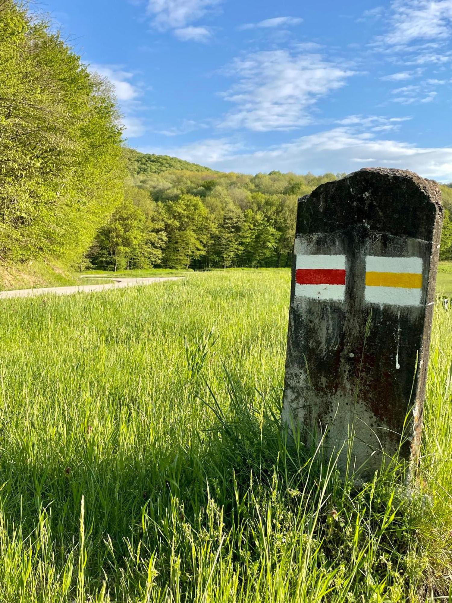Alirét Vadászház Ságvár Esterno foto